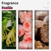 VILILY B016 Perfumes 38ml Spray Fruity Floral Originales for Lady Por Mayor Attractive Perfume for Women - Image 2