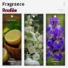 VILILY B015 Attractive Sweet Classic Fragrance Perfume Set for Women for Daily Use Por Mayor Originales Woman's Perfume - Image 2